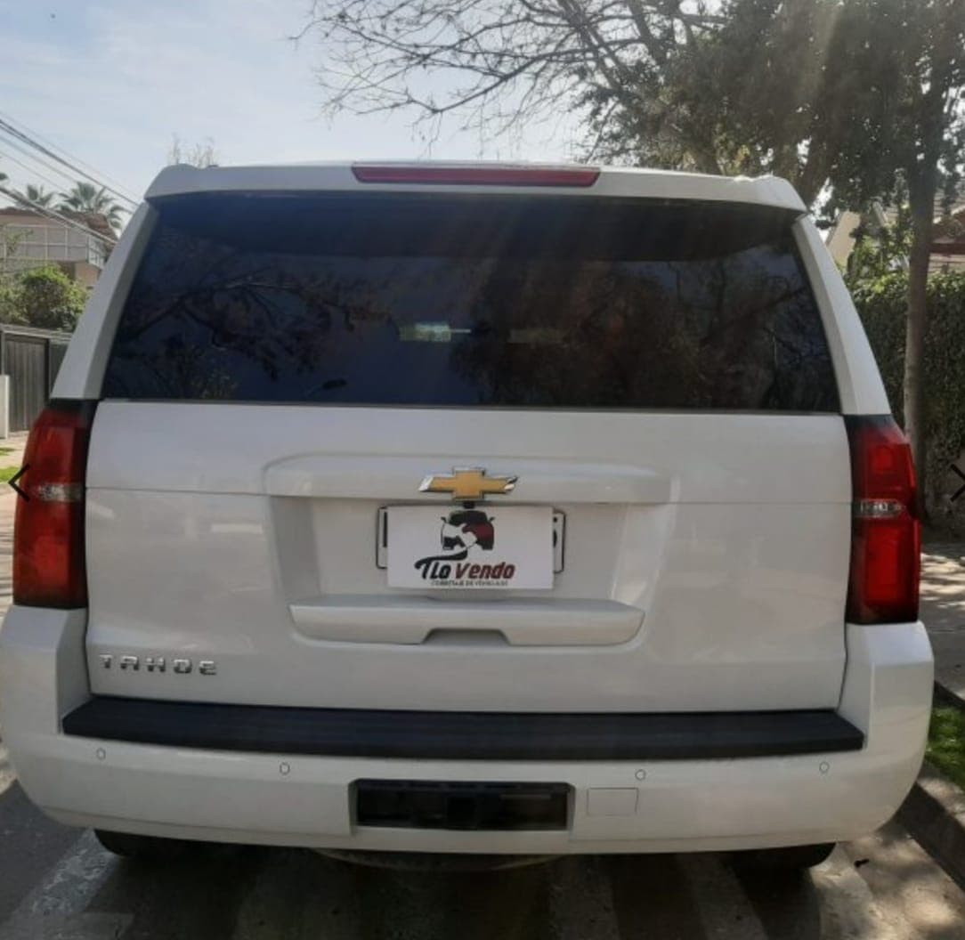 posterior