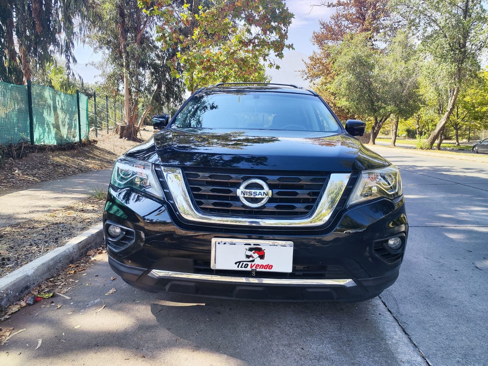 frontal
