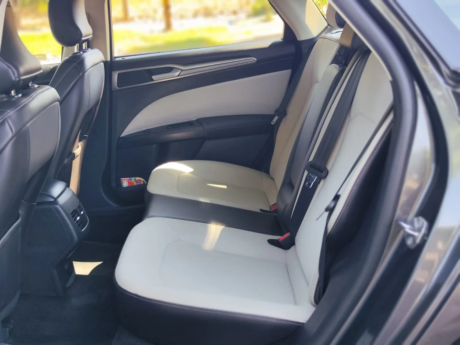 WhatsApp Image 2025-09-16 at 08.13.15